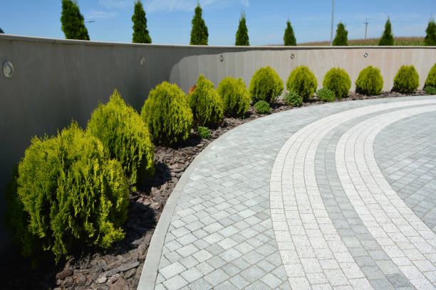 Best Decorative Driveway Pavers  in Prosperity, SC